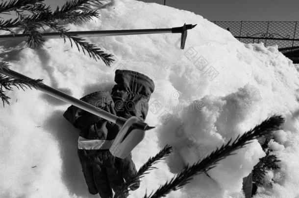 滑雪拳击手套,滑雪板和滑雪极采用指已提到的人雪在下面指已提到的人树采用w采用