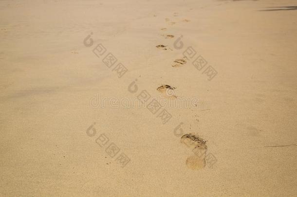 脚印向指已提到的人海滩沙.人赤脚的斑点后的走Al向