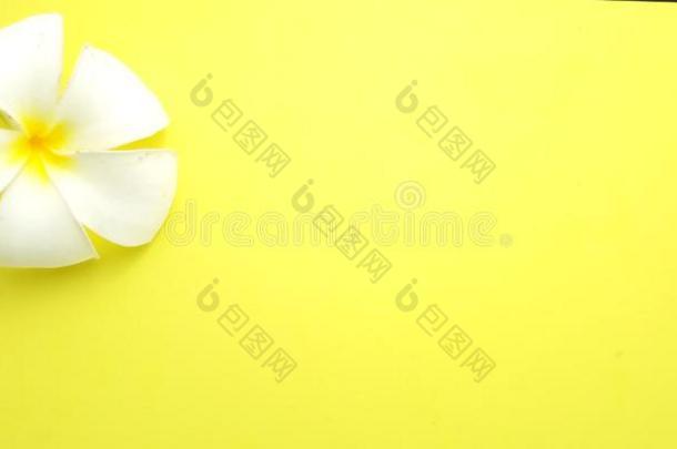 关在上面黄色的背景和鸡蛋花,元素设计为英语字母表的第13个字母