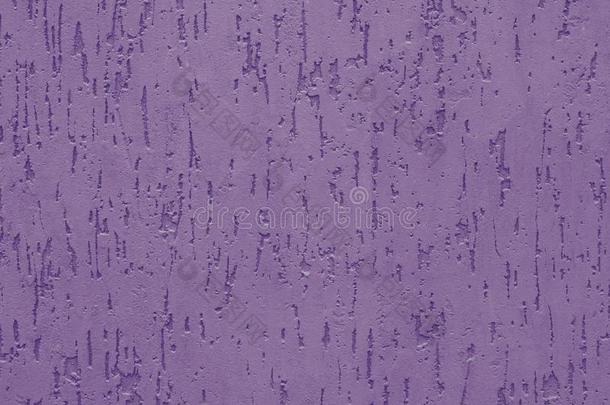 紫色的粉饰灰泥和具脐状突起的背景幕布向c向crete墙.抽象的