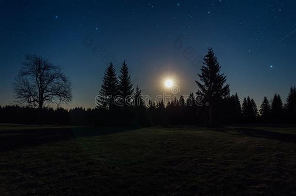 美好的星夜和树和月亮采用诺沃拉德斯克山,捷克人英语字母表的第12个字母