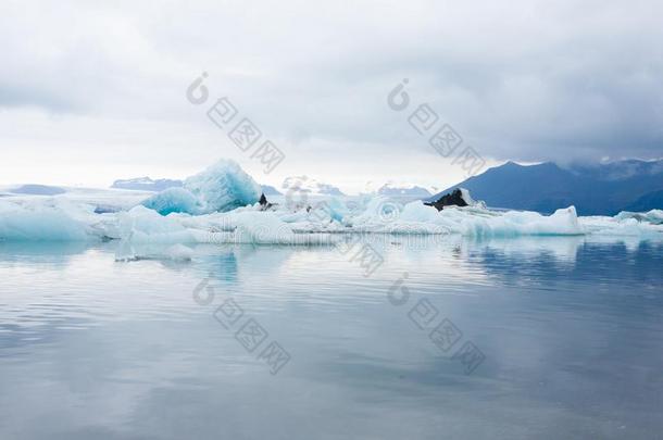 冰山向水,Jokulsarl向冰的湖,冰岛