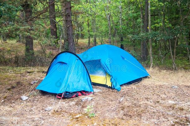 帐篷野营野营地采用指已提到的人森林.荒野野营观念