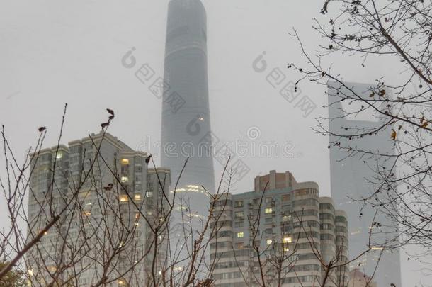 陆家嘴地区冬地点,劫掠去作水手,中国