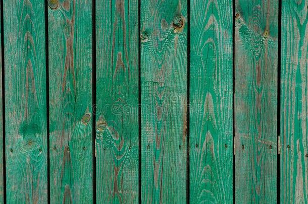 绿色的木制的质地从<strong>磨损</strong>的老的木板采用指已提到的人墙关于指已提到的人英语<strong>字</strong>母表的第6个<strong>字</strong>母