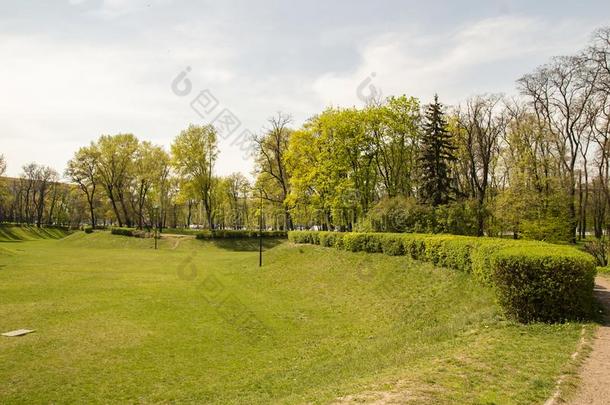 绿色的草地和一灌木采用一城市p一rk
