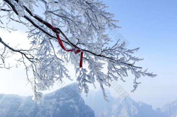 天门山,<strong>张家界</strong>,湖南,中国,冬雪,烟雾,