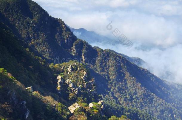 美丽的山Luxembourg卢森堡地质公园风景采用晚的秋