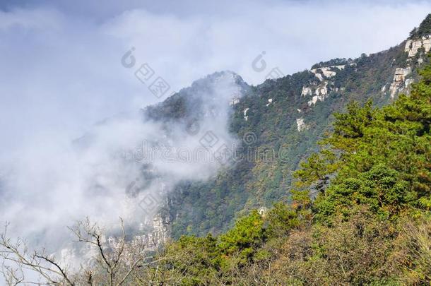 美丽的山Luxembourg卢森堡地质公园风景采用晚的秋