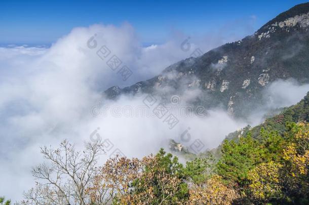 美丽的山Luxembourg卢森堡地质公园风景采用晚的秋