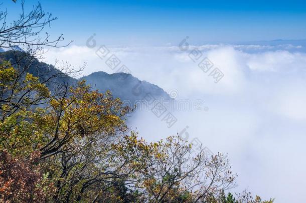 美丽的山Luxembourg卢森堡地质公园风景采用晚的秋