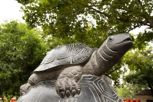 乌龟或龟雕像采用花园在中山公园在汕头