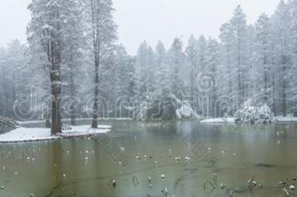 武汉东湖风景优美的地点雪地点采用w采用ter