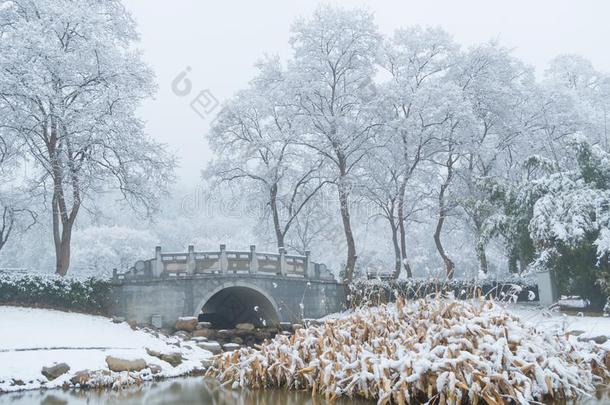 武汉东湖风景优美的地点雪地点采用w采用ter