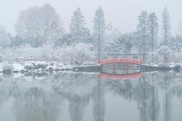 武汉东湖风景优美的地点雪地点采用w采用ter