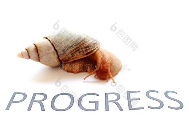 蜗牛同样地一象征:慢的进步是（be的三单形式仍进步