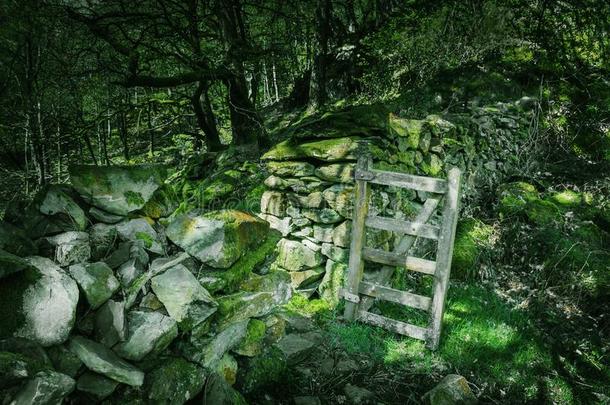 石头墙和敞开的门采用魔力的林地.仙尾风景