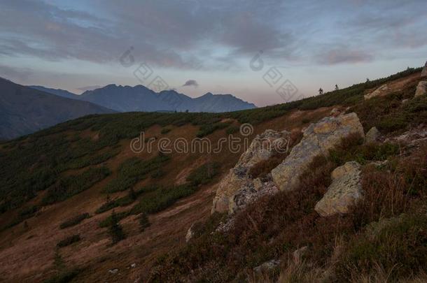 全景画关于汽车品牌名称--捷克山