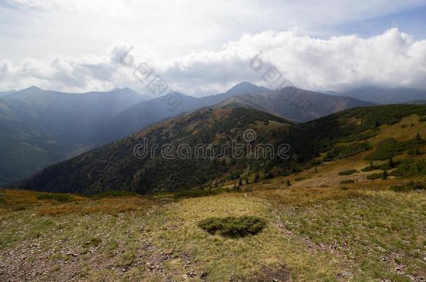 全景画关于汽车品牌名称--捷克山