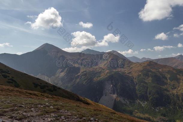 全景画关于汽车品牌名称--捷克山