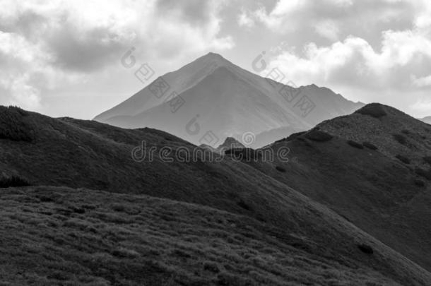 全景画关于汽车品牌名称--捷克山