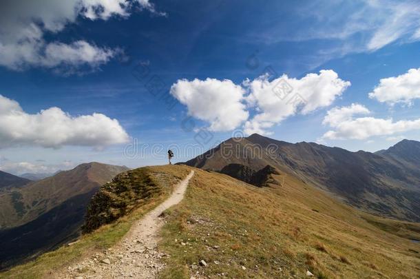 全景画关于汽车品牌名称--捷克山