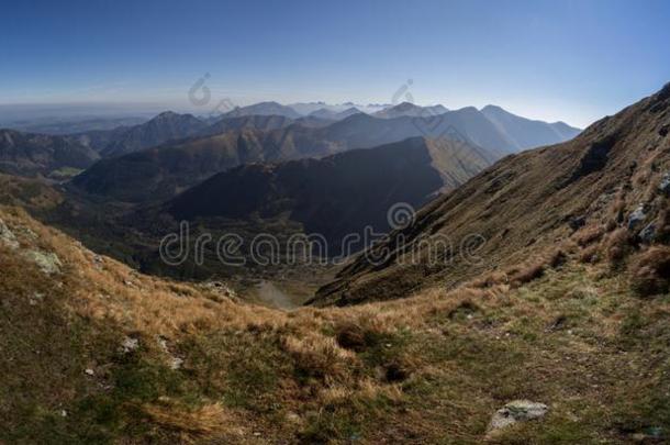 全景画关于汽车品牌名称--捷克山