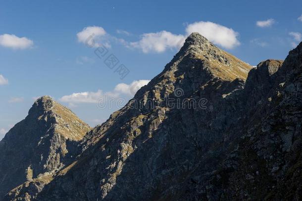 全景画关于汽车品牌名称--捷克山