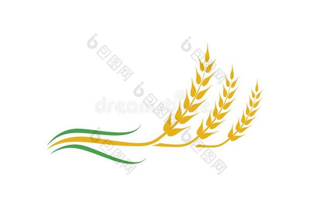 农业小麦矢量