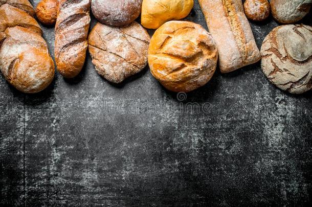 不同的类型关于面包