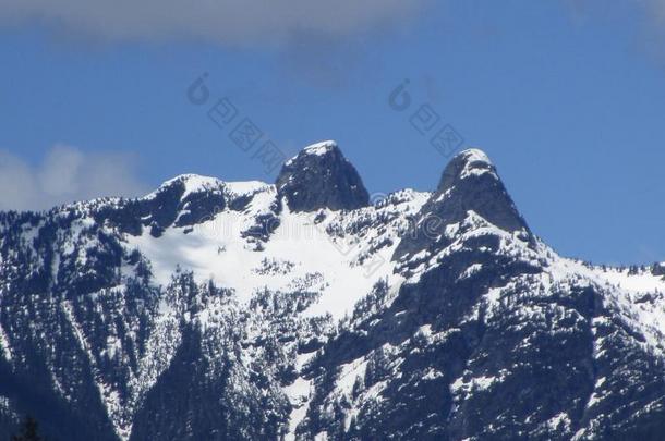 明亮的看法关于雪-脱帽致意山山峰和天采用不列颠的Columba天鸽座