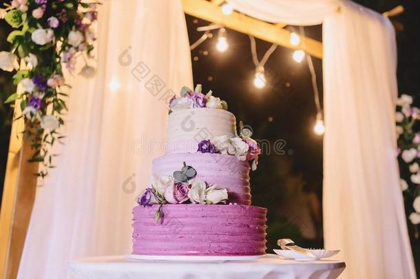 婚礼蛋糕为庆祝结婚和佃户租种的土地一b一nquet