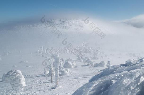 美丽的冬风景采用mounta采用s向和煦的：照到阳光的,明亮的一天,winter冬天