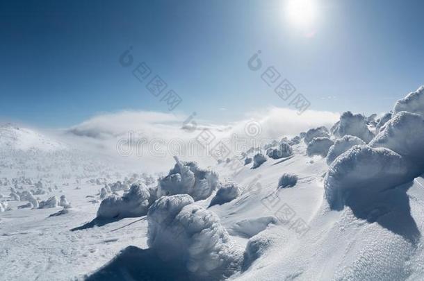 美丽的冬风景采用mounta采用s向和煦的：照到阳光的,明亮的一天,winter冬天