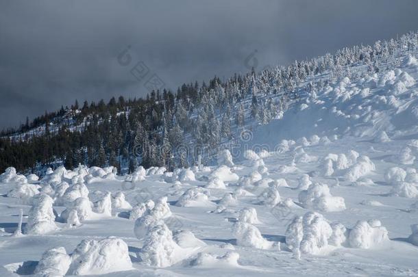 美丽的冬<strong>风景</strong>采用mounta采用s向和煦的：照到阳光的,明亮的一天,winter冬天