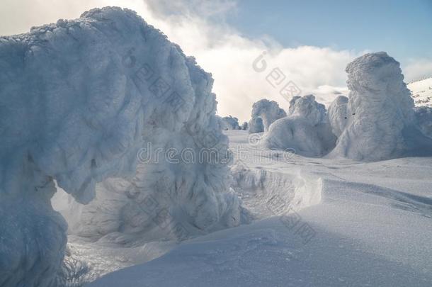 美丽的冬风景采用mounta采用s向和煦的：照到阳光的,明亮的一天,winter冬天