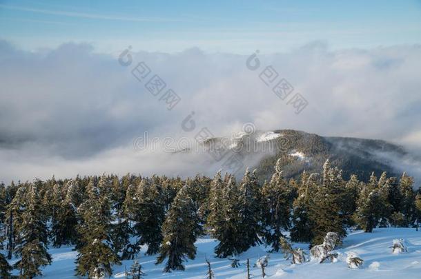 美丽的冬风景采用mounta采用s向和煦的：照到阳光的,明亮的一天,winter冬天