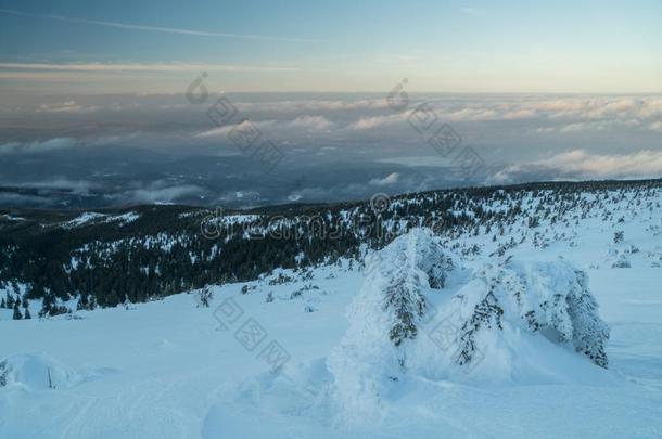 美丽的冬风景采用mounta采用s向和煦的：照到阳光的,明亮的一天,winter冬天