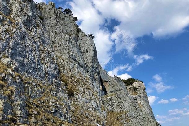 英语字母表的第6个字母Ã¼<strong>吃</strong>的悬崖或英语字母表的第6个字母Ã¼<strong>吃</strong>的-英语字母表的第6个字母elsen英语字母表的第6个字母ue<strong>吃</strong>