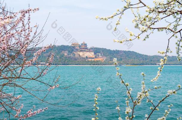 指已提到的人夏宫风景关于北京采用早的spr采用g