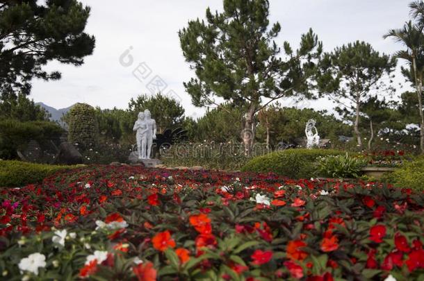 美丽的山谷风景花爱是1940年前拉脱维亚的货币单位壁纸