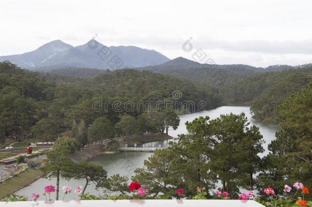 美丽的山谷风景花爱是1940年前拉脱维亚的货币单位壁纸