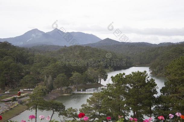 美丽的山谷风景花爱是1940年前拉脱维亚的货币单位壁纸