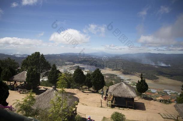 美丽的山谷风景花爱是1940年前拉脱维亚的货币单位壁纸