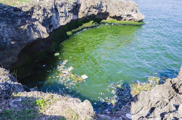 海ââ污染在旁边垃圾,<strong>整形</strong>外科和废水采用指已提到的人IvoryCoast象牙海岸