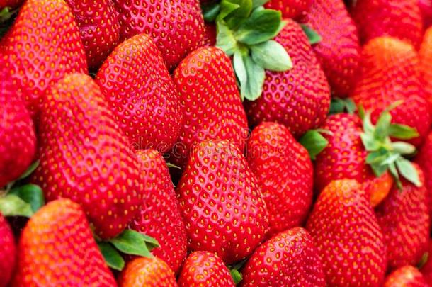 红色的<strong>草莓</strong>模式采用交易,新鲜的<strong>草莓</strong>质<strong>地</strong>,