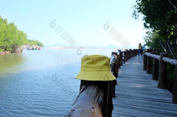 一黄色的女人帽子向一极点一tThailand泰国.英语字母表的第5个字母wood英语字母表的第5个字母nbridg英语字母表的第