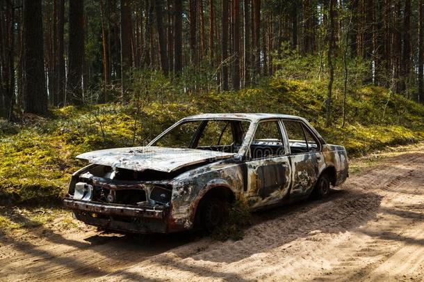 充分地烧坏的汽车采用指已提到的人森林采用令人振奋。向沙的路