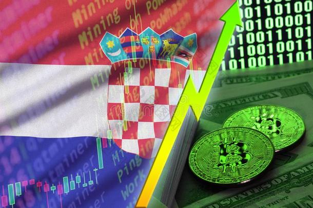克罗地亚旗和加密货币生长的走向和两个比特币