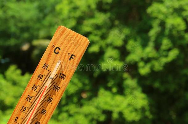 木制的温度计采用指已提到的人夏阳光show采用g高的你的脾气